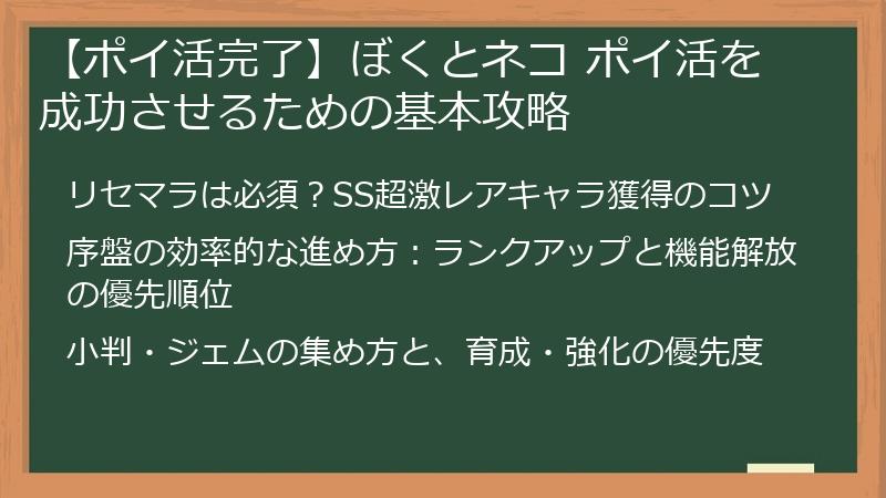 【ポイ活完了】ぼくとネコ ポイ活を成功させるための基本攻略