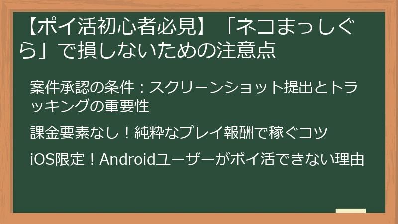 【ポイ活初心者必見】「ネコまっしぐら」で損しないための注意点