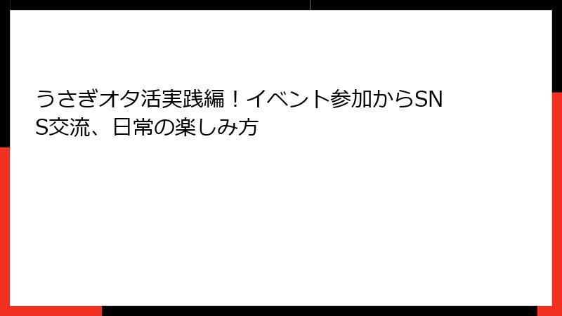 うさぎオタ活実践編！イベント参加からSNS交流、日常の楽しみ方