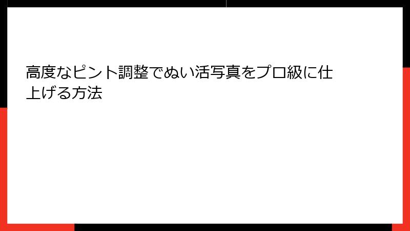 高度なピント調整でぬい活写真をプロ級に仕上げる方法