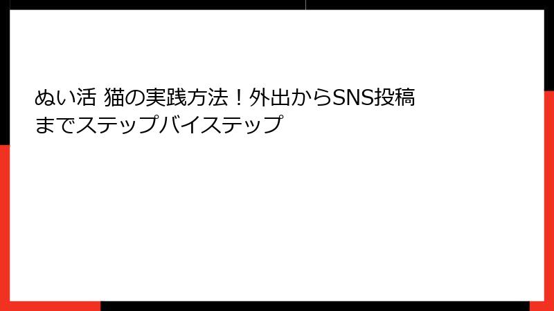 ぬい活 猫の実践方法！外出からSNS投稿までステップバイステップ