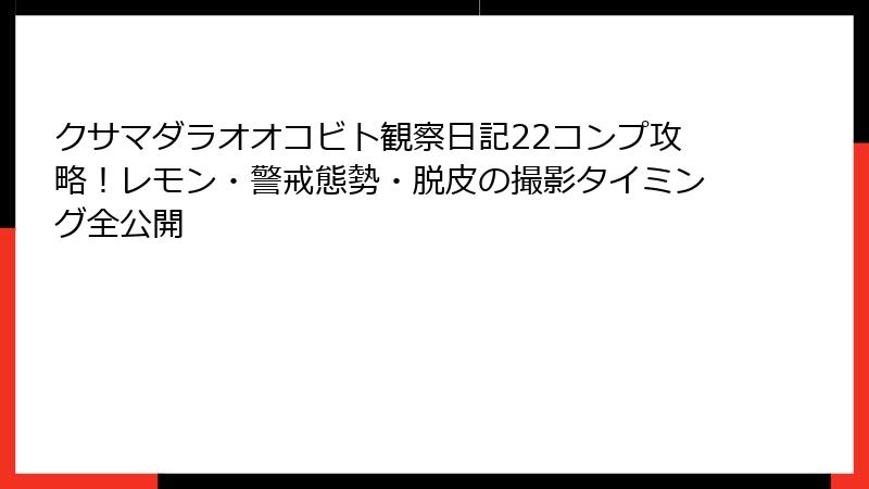 クサマダラオオコビト観察日記22コンプ攻略!レモン・警戒態勢・脱皮の撮影タイミング全公開