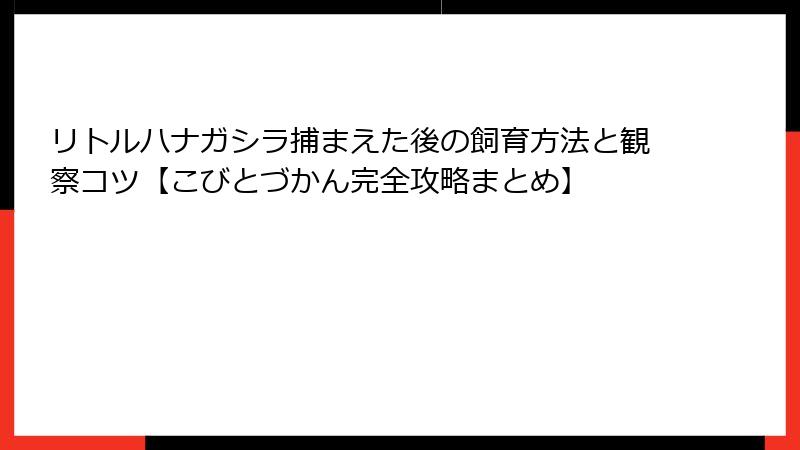 リトルハナガシラ捕まえた後の飼育方法と観察コツ【こびとづかん完全攻略まとめ】