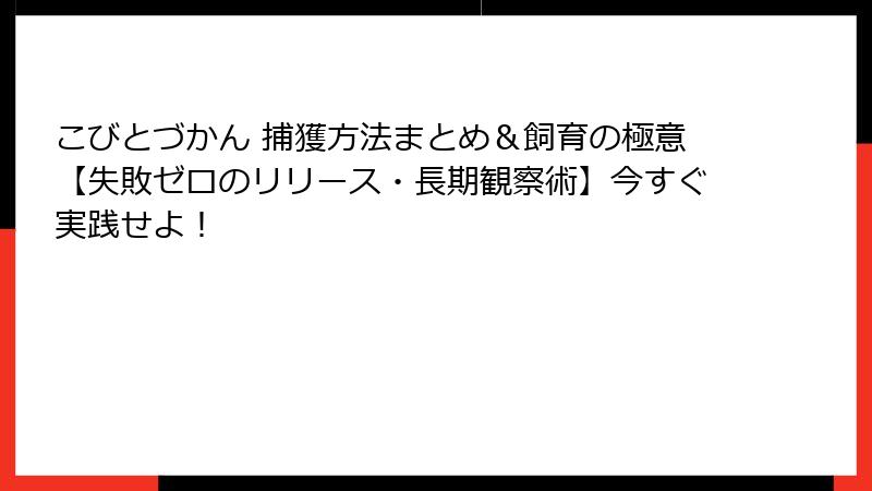 こびとづかん 捕獲方法まとめ＆飼育の極意【失敗ゼロのリリース・長期観察術】今すぐ実践せよ！
