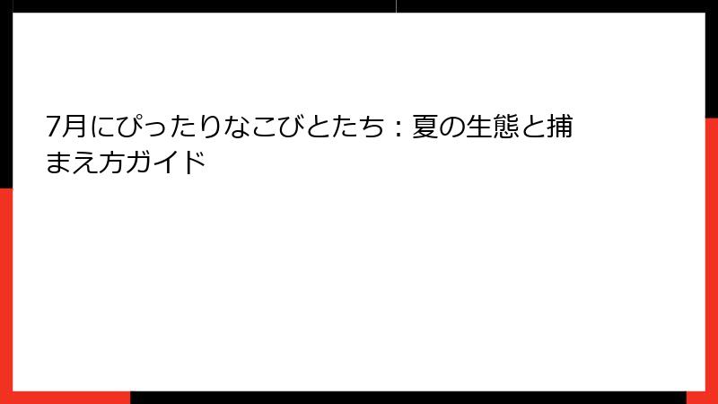 7月にぴったりなこびとたち：夏の生態と捕まえ方ガイド