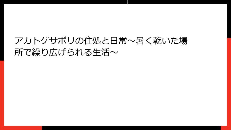 アカトゲサボリの住処と日常~暑く乾いた場所で繰り広げられる生活~