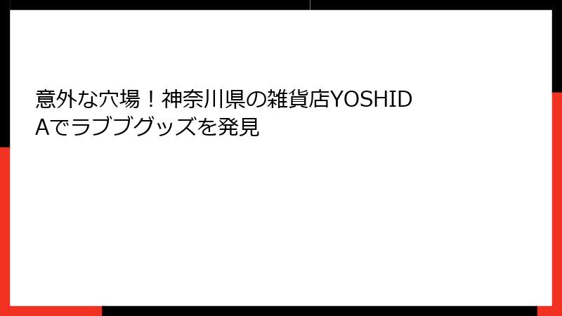 意外な穴場！神奈川県の雑貨店YOSHIDAでラブブグッズを発見