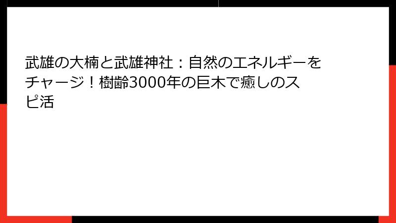 武雄の大楠と武雄神社：自然のエネルギーをチャージ！樹齢3000年の巨木で癒しのスピ活