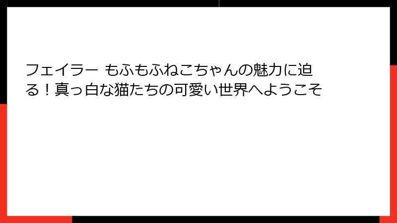 フェイラー もふもふねこちゃんの魅力に迫る!真っ白な猫たちの可愛い世界へようこそ