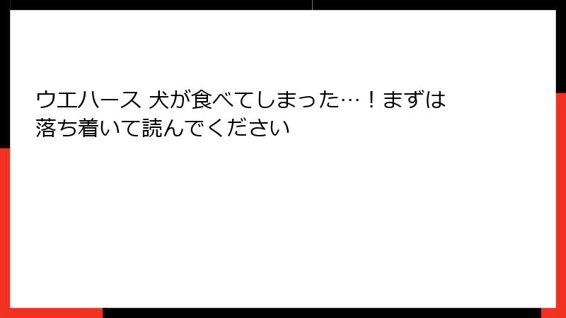 ウエハース 犬が食べてしまった…!まずは落ち着いて読んでください