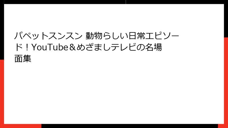 パペットスンスン 動物らしい日常エピソード！YouTube＆めざましテレビの名場面集