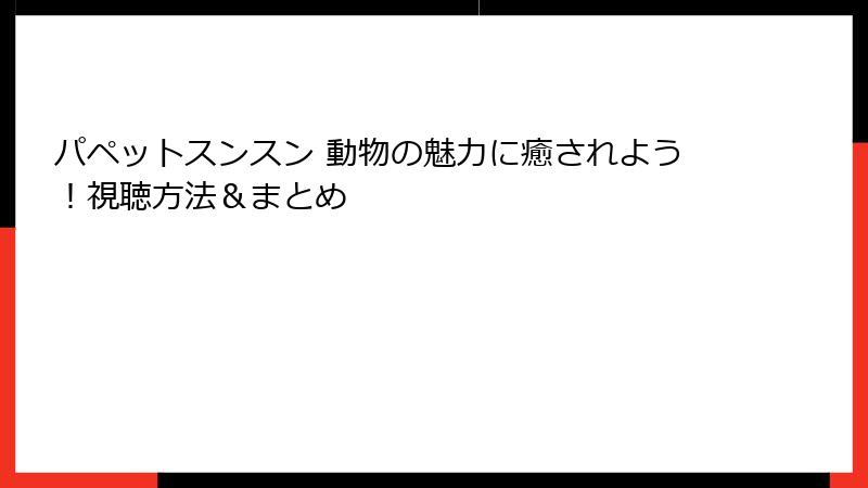 パペットスンスン 動物の魅力に癒されよう！視聴方法＆まとめ