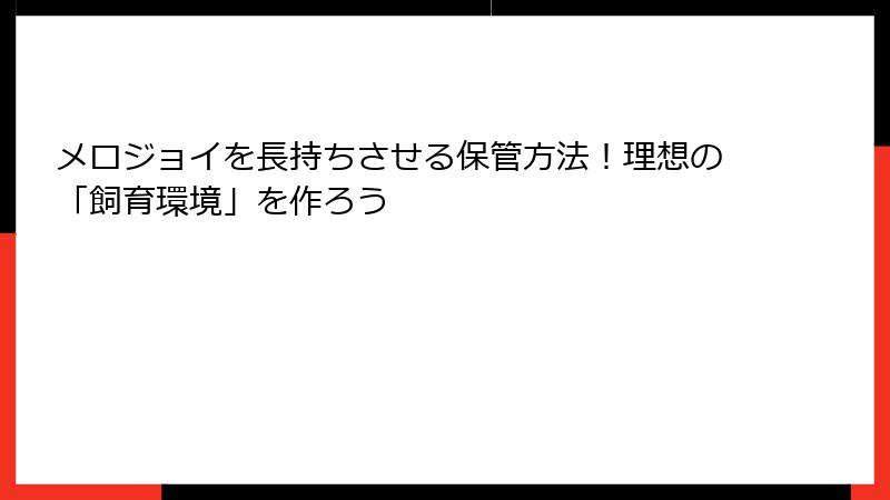 メロジョイを長持ちさせる保管方法!理想の「飼育環境」を作ろう