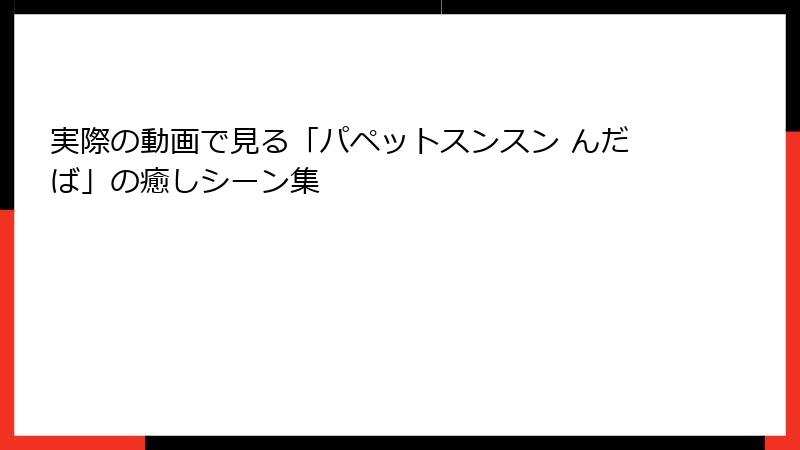 実際の動画で見る「パペットスンスン んだば」の癒しシーン集