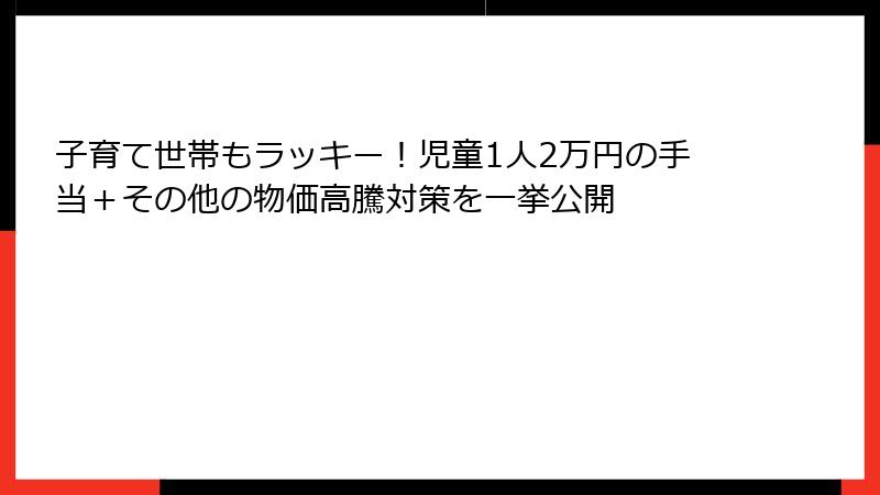 子育て世帯もラッキー！児童1人2万円の手当＋その他の物価高騰対策を一挙公開