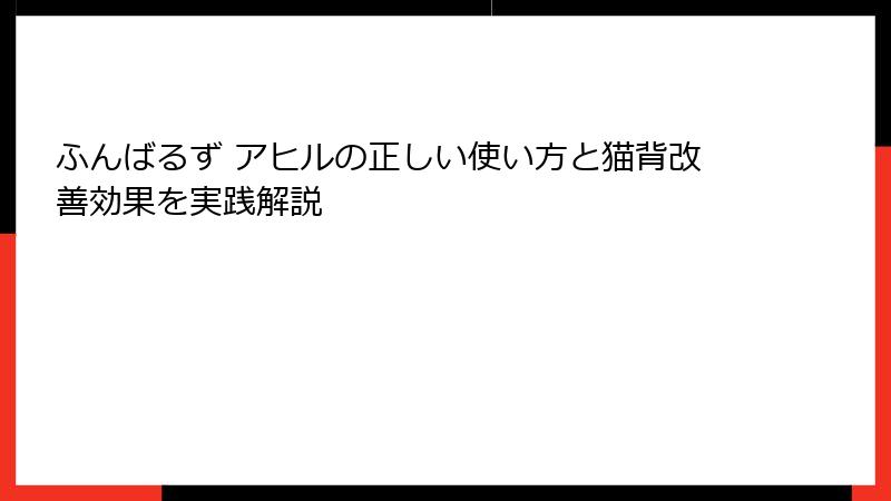 ふんばるず アヒルの正しい使い方と猫背改善効果を実践解説