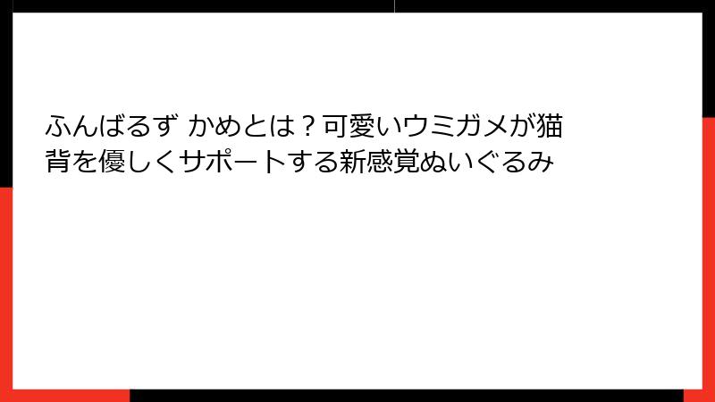 ふんばるず かめとは？可愛いウミガメが猫背を優しくサポートする新感覚ぬいぐるみ