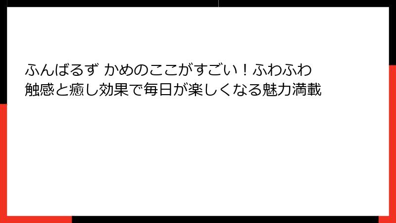 ふんばるず かめのここがすごい！ふわふわ触感と癒し効果で毎日が楽しくなる魅力満載