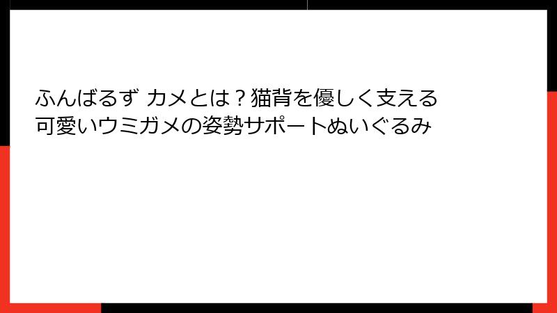 ふんばるず カメとは?猫背を優しく支える可愛いウミガメの姿勢サポートぬいぐるみ