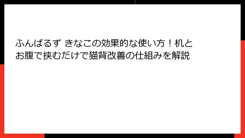 ふんばるず きなこの効果的な使い方！机とお腹で挟むだけで猫背改善の仕組みを解説