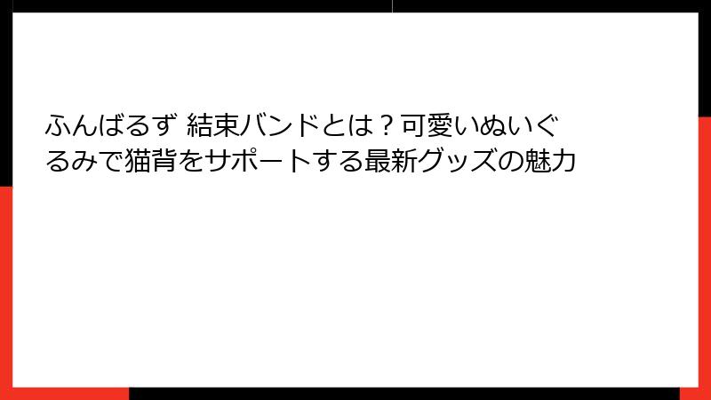 ふんばるず 結束バンドとは?可愛いぬいぐるみで猫背をサポートする最新グッズの魅力