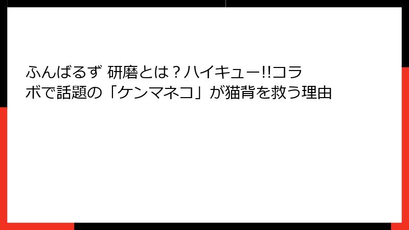 ふんばるず 研磨とは？ハイキュー!!コラボで話題の「ケンマネコ」が猫背を救う理由