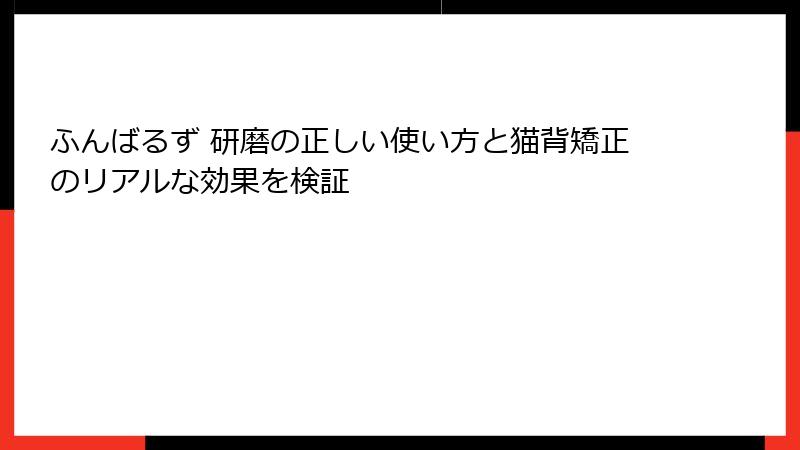 ふんばるず 研磨の正しい使い方と猫背矯正のリアルな効果を検証