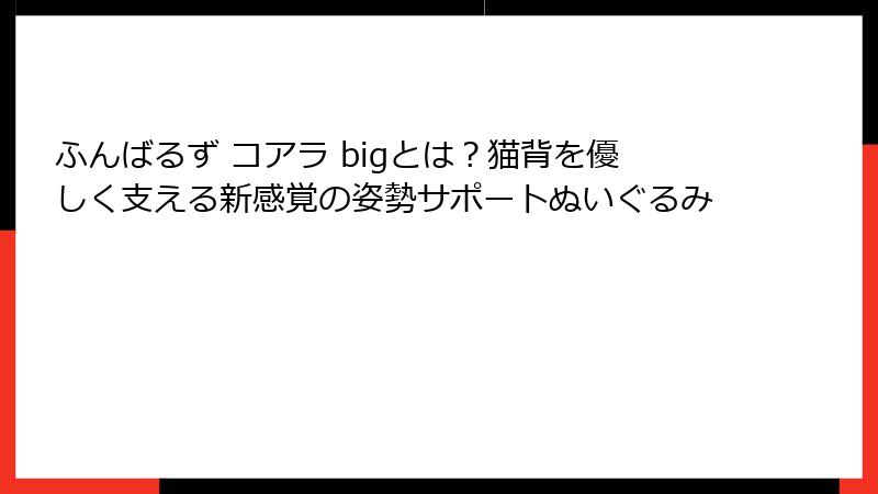 ふんばるず コアラ bigとは？猫背を優しく支える新感覚の姿勢サポートぬいぐるみ