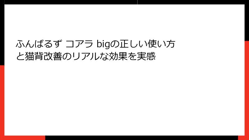 ふんばるず コアラ bigの正しい使い方と猫背改善のリアルな効果を実感