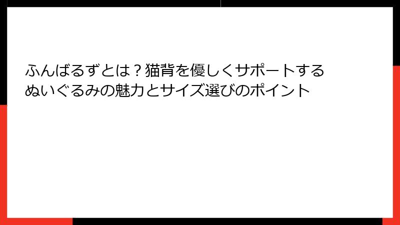ふんばるずとは？猫背を優しくサポートするぬいぐるみの魅力とサイズ選びのポイント