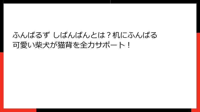 ふんばるず しばんばんとは?机にふんばる可愛い柴犬が猫背を全力サポート!