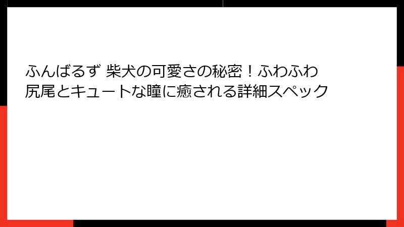 ふんばるず 柴犬の可愛さの秘密！ふわふわ尻尾とキュートな瞳に癒される詳細スペック