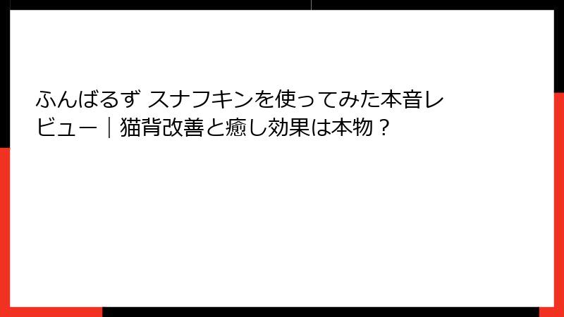ふんばるず スナフキンを使ってみた本音レビュー|猫背改善と癒し効果は本物?