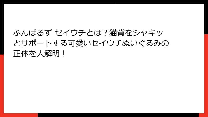 ふんばるず セイウチとは？猫背をシャキッとサポートする可愛いセイウチぬいぐるみの正体を大解明！