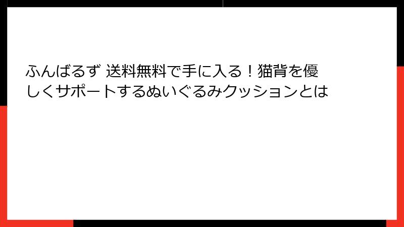ふんばるず 送料無料で手に入る！猫背を優しくサポートするぬいぐるみクッションとは
