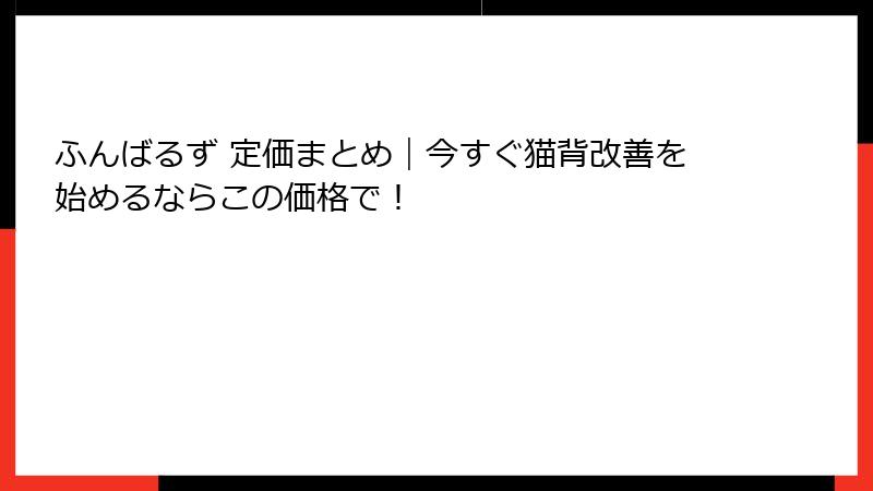 ふんばるず 定価まとめ｜今すぐ猫背改善を始めるならこの価格で！