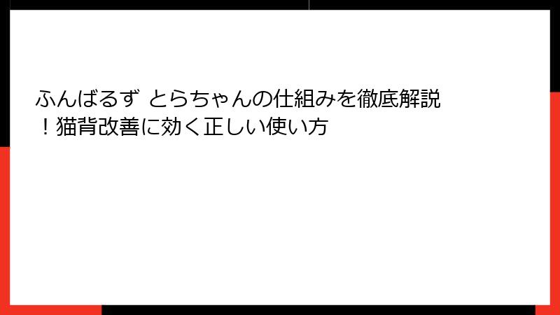 ふんばるず とらちゃんの仕組みを徹底解説！猫背改善に効く正しい使い方