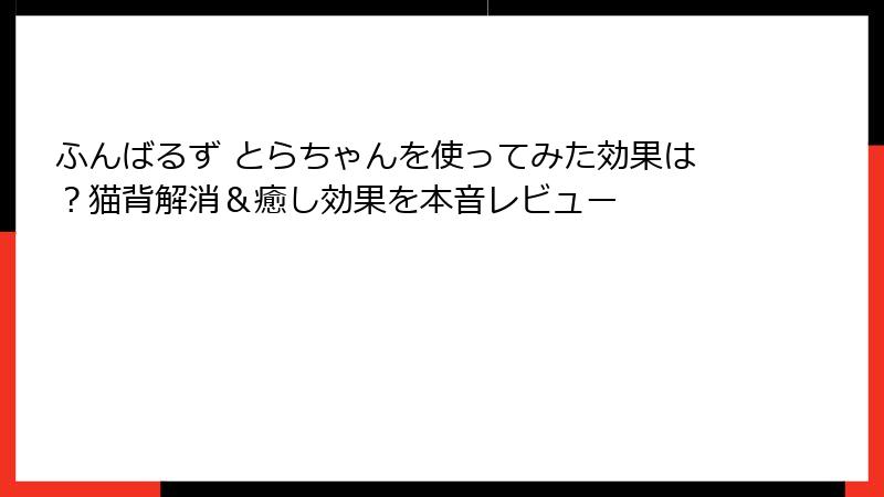 ふんばるず とらちゃんを使ってみた効果は？猫背解消＆癒し効果を本音レビュー