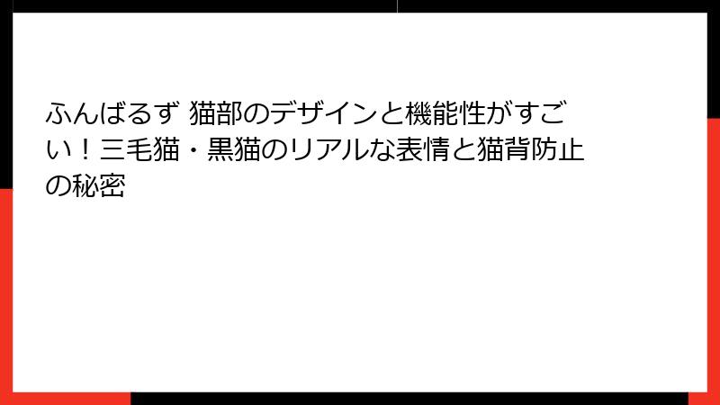 ふんばるず 猫部のデザインと機能性がすごい!三毛猫・黒猫のリアルな表情と猫背防止の秘密
