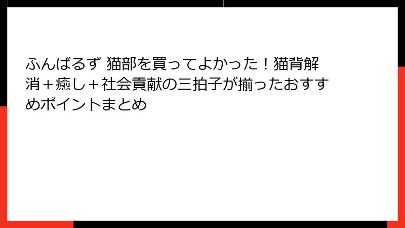 ふんばるず 猫部を買ってよかった!猫背解消+癒し+社会貢献の三拍子が揃ったおすすめポイントまとめ