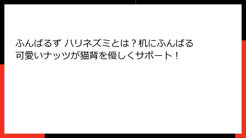 ふんばるず ハリネズミとは?机にふんばる可愛いナッツが猫背を優しくサポート!