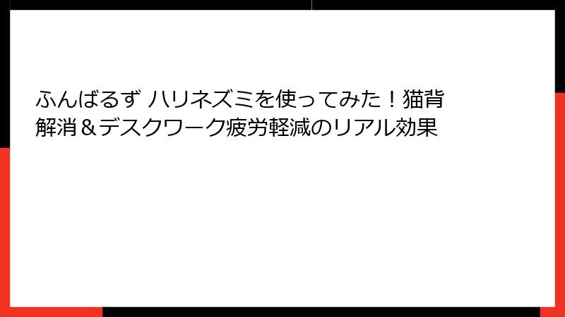 ふんばるず ハリネズミを使ってみた!猫背解消&デスクワーク疲労軽減のリアル効果