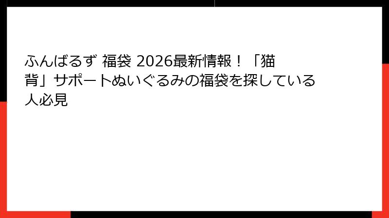 ふんばるず 福袋 2026最新情報！「猫背」サポートぬいぐるみの福袋を探している人必見