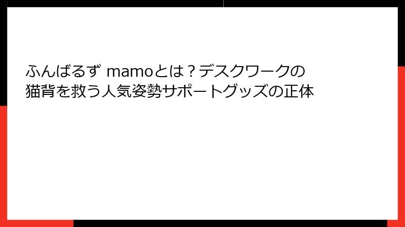 ふんばるず mamoとは？デスクワークの猫背を救う人気姿勢サポートグッズの正体