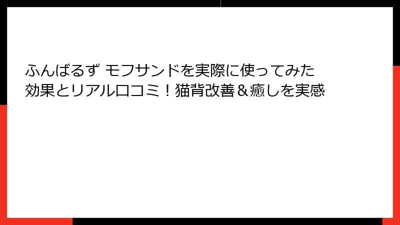 ふんばるず モフサンドを実際に使ってみた効果とリアル口コミ！猫背改善＆癒しを実感