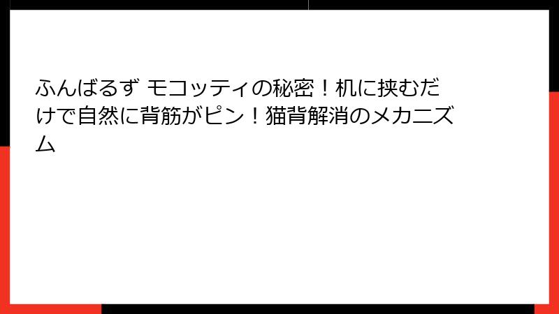 ふんばるず モコッティの秘密!机に挟むだけで自然に背筋がピン!猫背解消のメカニズム