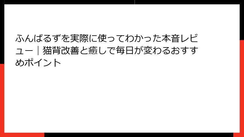 ふんばるずを実際に使ってわかった本音レビュー｜猫背改善と癒しで毎日が変わるおすすめポイント