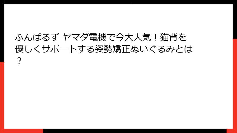 ふんばるず ヤマダ電機で今大人気！猫背を優しくサポートする姿勢矯正ぬいぐるみとは？