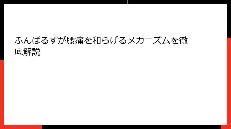 ふんばるずが腰痛を和らげるメカニズムを徹底解説