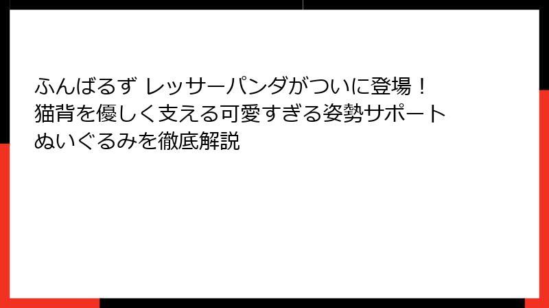 ふんばるず レッサーパンダがついに登場!猫背を優しく支える可愛すぎる姿勢サポートぬいぐるみを徹底解説